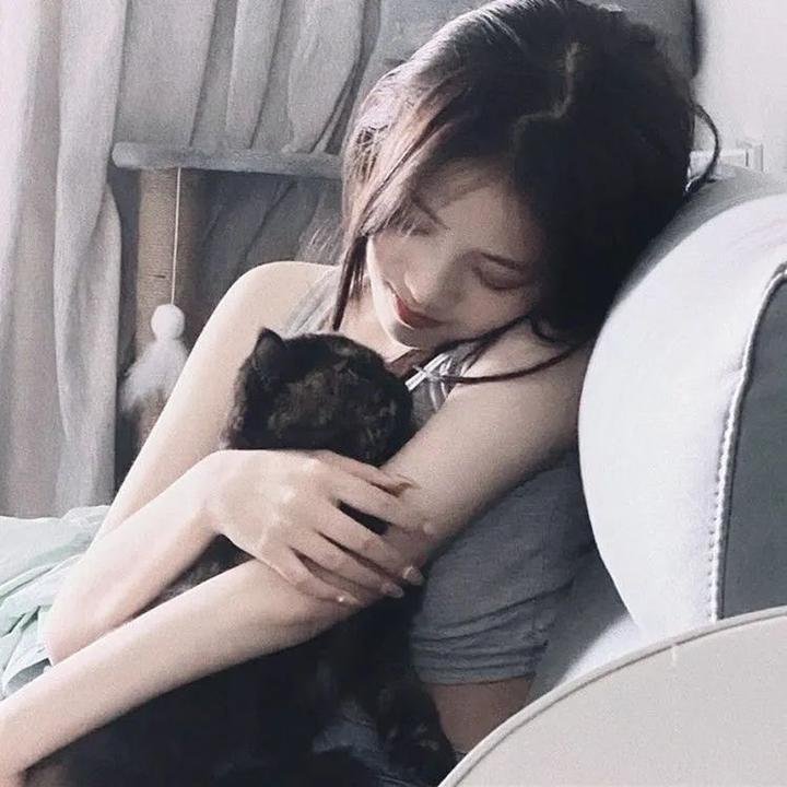 法网缉凶